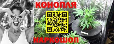 Альфа ПВП Кингисепп